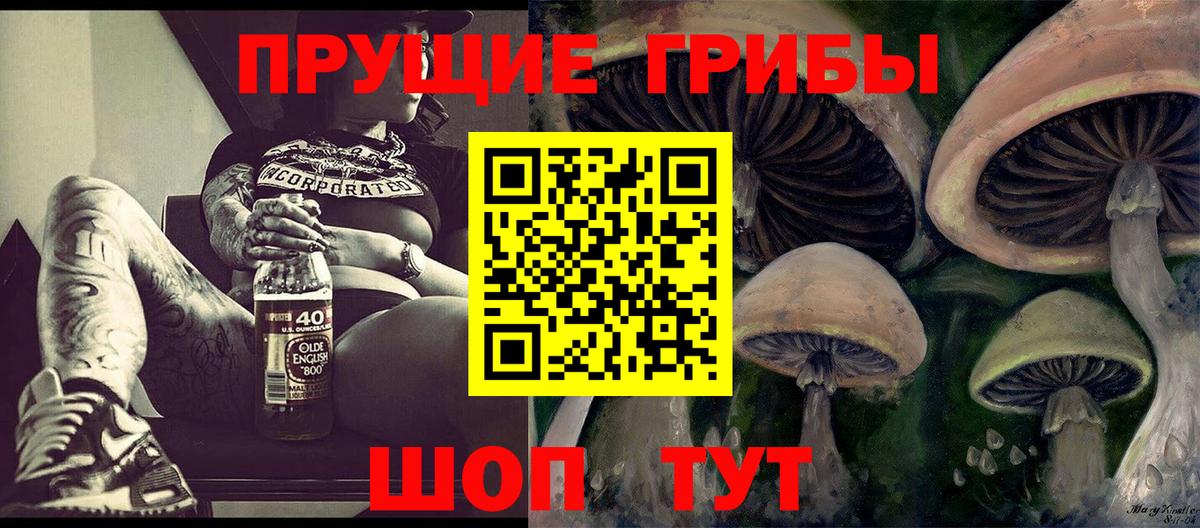Балашиха  Галлюциногенные грибы Cubensis  Псилоцибиновые грибы Psilocybine cubensis  Вход с VPN 